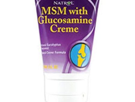 MSM CREAME, 4 OZ By Natrol Cheap