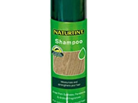 Naturtint Shampoo 5.28 OZ By Naturtint on Sale