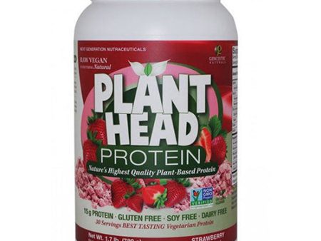 Plant Head Protein Strawberry 1.7 lbs By Nature s Answer Cheap